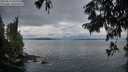 ./images/koeye/fitz-hugh/20250814/fitz-hugh20250814_062510M.jpg