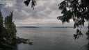 ./images/koeye/fitz-hugh/20250814/fitz-hugh20250814_064010M.jpg