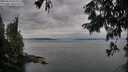 ./images/koeye/fitz-hugh/20250814/fitz-hugh20250814_064508M.jpg