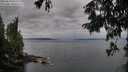 ./images/koeye/fitz-hugh/20250814/fitz-hugh20250814_065011M.jpg