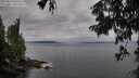 ./images/koeye/fitz-hugh/20250814/fitz-hugh20250814_065510M.jpg