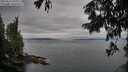 ./images/koeye/fitz-hugh/20250814/fitz-hugh20250814_071011M.jpg