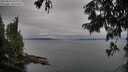 ./images/koeye/fitz-hugh/20250814/fitz-hugh20250814_072011M.jpg