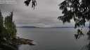 ./images/koeye/fitz-hugh/20250814/fitz-hugh20250814_073011M.jpg