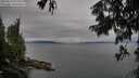 ./images/koeye/fitz-hugh/20250814/fitz-hugh20250814_073510M.jpg
