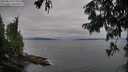 ./images/koeye/fitz-hugh/20250814/fitz-hugh20250814_075011M.jpg