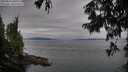 ./images/koeye/fitz-hugh/20250814/fitz-hugh20250814_080510M.jpg