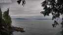 ./images/koeye/fitz-hugh/20250814/fitz-hugh20250814_081010M.jpg