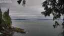 ./images/koeye/fitz-hugh/20250814/fitz-hugh20250814_081511M.jpg