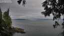 ./images/koeye/fitz-hugh/20250814/fitz-hugh20250814_082010M.jpg