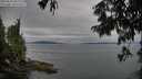 ./images/koeye/fitz-hugh/20250814/fitz-hugh20250814_082509M.jpg