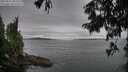 ./images/koeye/fitz-hugh/20250814/fitz-hugh20250814_083510M.jpg