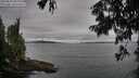 ./images/koeye/fitz-hugh/20250814/fitz-hugh20250814_084011M.jpg
