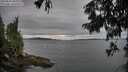 ./images/koeye/fitz-hugh/20250814/fitz-hugh20250814_084509M.jpg