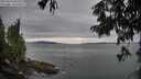 ./images/koeye/fitz-hugh/20250814/fitz-hugh20250814_085011M.jpg