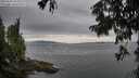./images/koeye/fitz-hugh/20250814/fitz-hugh20250814_085510M.jpg