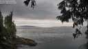 ./images/koeye/fitz-hugh/20250814/fitz-hugh20250814_090011M.jpg