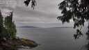 ./images/koeye/fitz-hugh/20250814/fitz-hugh20250814_091512M.jpg