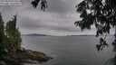 ./images/koeye/fitz-hugh/20250814/fitz-hugh20250814_092510M.jpg