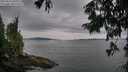 ./images/koeye/fitz-hugh/20250814/fitz-hugh20250814_093011M.jpg