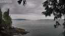 ./images/koeye/fitz-hugh/20250814/fitz-hugh20250814_093510M.jpg