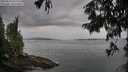 ./images/koeye/fitz-hugh/20250814/fitz-hugh20250814_094011M.jpg