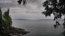 ./images/koeye/fitz-hugh/20250814/fitz-hugh20250814_094510M.jpg