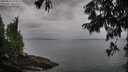 ./images/koeye/fitz-hugh/20250814/fitz-hugh20250814_095010M.jpg