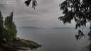./images/koeye/fitz-hugh/20250814/fitz-hugh20250814_095510M.jpg