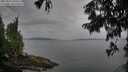 ./images/koeye/fitz-hugh/20250814/fitz-hugh20250814_100510M.jpg