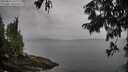 ./images/koeye/fitz-hugh/20250814/fitz-hugh20250814_103011M.jpg