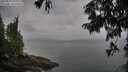 ./images/koeye/fitz-hugh/20250814/fitz-hugh20250814_104011M.jpg