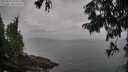 ./images/koeye/fitz-hugh/20250814/fitz-hugh20250814_104510M.jpg