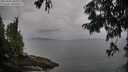 ./images/koeye/fitz-hugh/20250814/fitz-hugh20250814_105011M.jpg