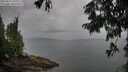 ./images/koeye/fitz-hugh/20250814/fitz-hugh20250814_110012M.jpg