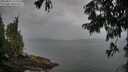 ./images/koeye/fitz-hugh/20250814/fitz-hugh20250814_111510M.jpg