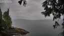 ./images/koeye/fitz-hugh/20250814/fitz-hugh20250814_112510M.jpg