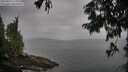 ./images/koeye/fitz-hugh/20250814/fitz-hugh20250814_113010M.jpg