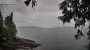 ./images/koeye/fitz-hugh/20250814/fitz-hugh20250814_113510M.jpg
