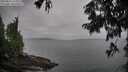 ./images/koeye/fitz-hugh/20250814/fitz-hugh20250814_114011M.jpg