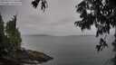 ./images/koeye/fitz-hugh/20250814/fitz-hugh20250814_114510M.jpg