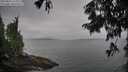 ./images/koeye/fitz-hugh/20250814/fitz-hugh20250814_115011M.jpg