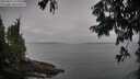 ./images/koeye/fitz-hugh/20250814/fitz-hugh20250814_115510M.jpg