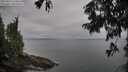 ./images/koeye/fitz-hugh/20250814/fitz-hugh20250814_120510M.jpg