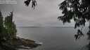 ./images/koeye/fitz-hugh/20250814/fitz-hugh20250814_121011M.jpg