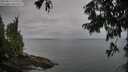 ./images/koeye/fitz-hugh/20250814/fitz-hugh20250814_121511M.jpg
