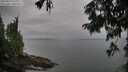 ./images/koeye/fitz-hugh/20250814/fitz-hugh20250814_122012M.jpg