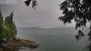 ./images/koeye/fitz-hugh/20250814/fitz-hugh20250814_123509M.jpg
