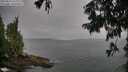 ./images/koeye/fitz-hugh/20250814/fitz-hugh20250814_124011M.jpg