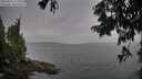 ./images/koeye/fitz-hugh/20250814/fitz-hugh20250814_124509M.jpg